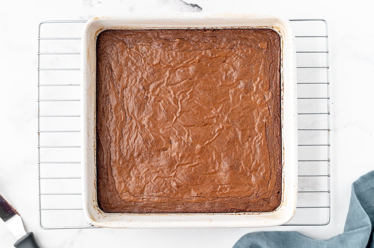 baked brownies in a pan