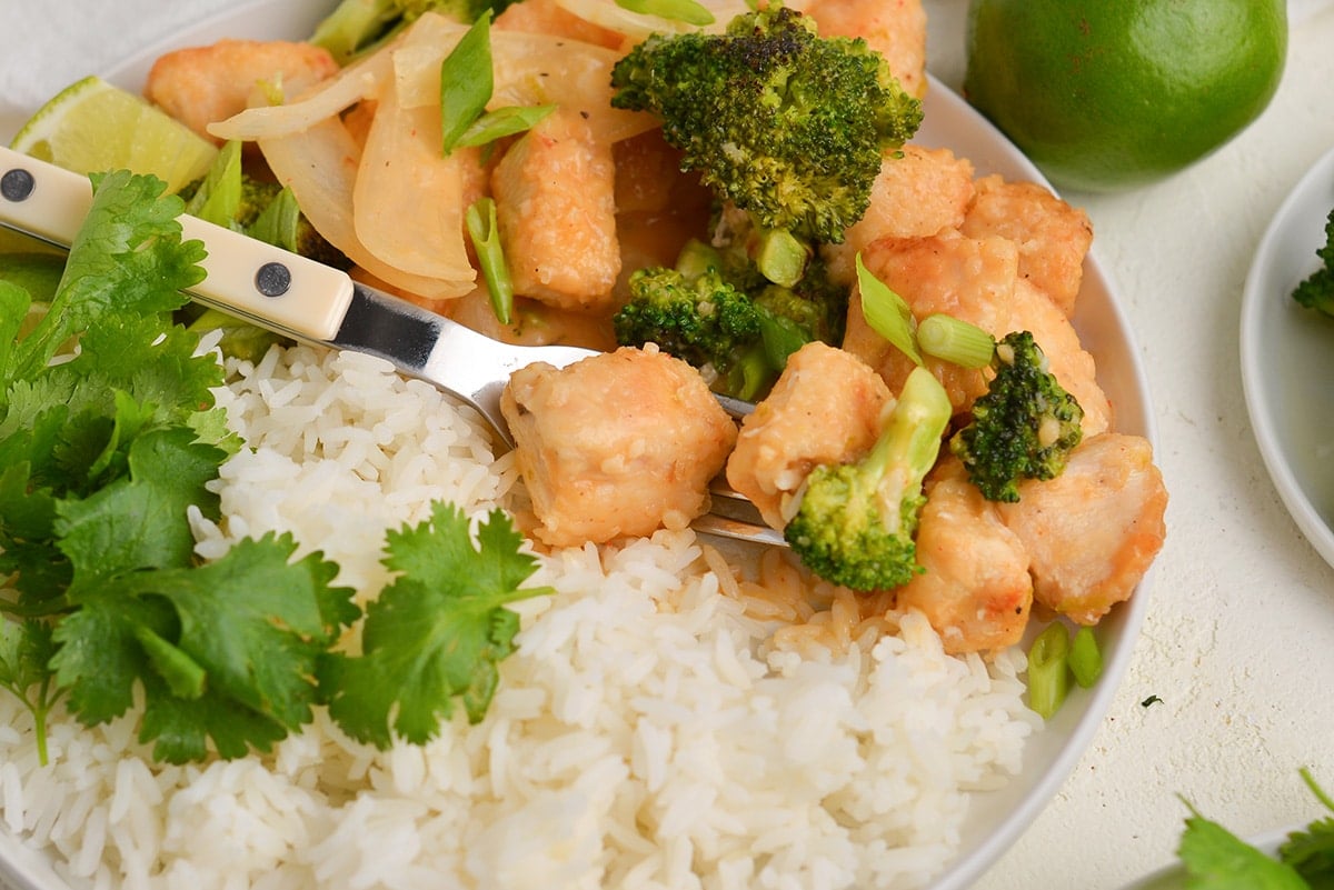 close-up chicken pieces on a fork