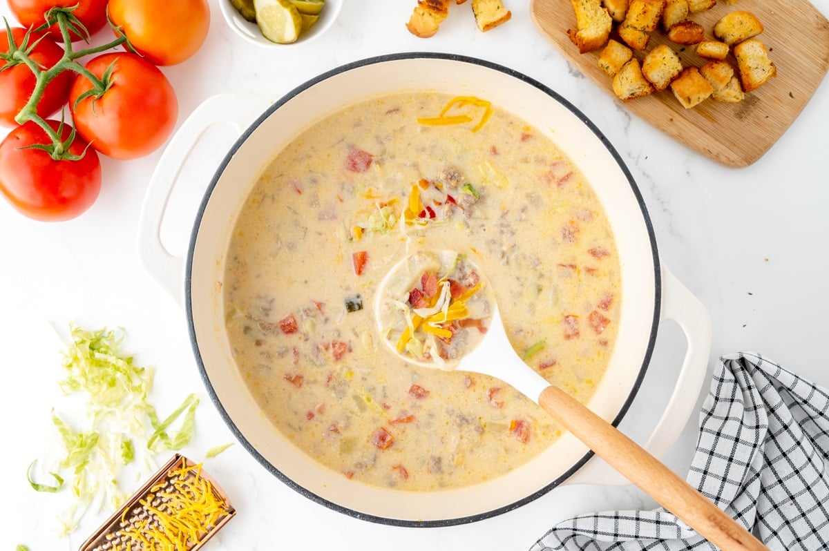 ladle in pot of soup