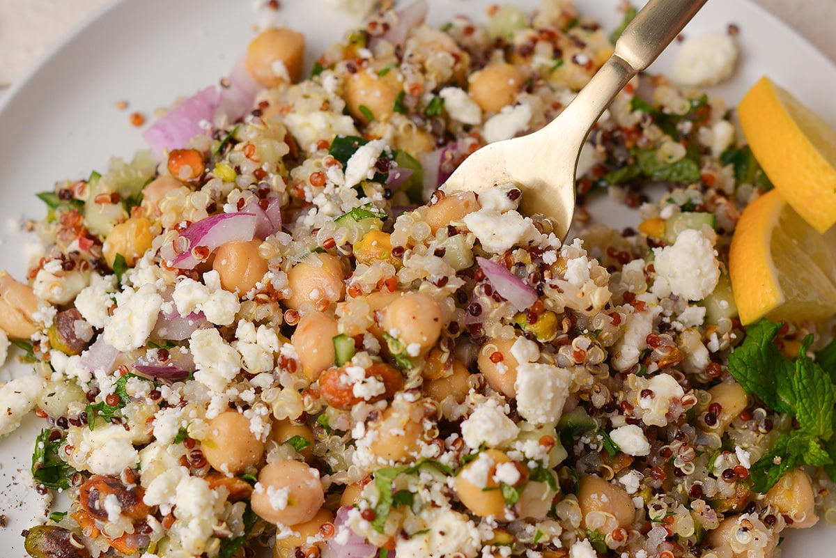 close up of quinoa salad on fork