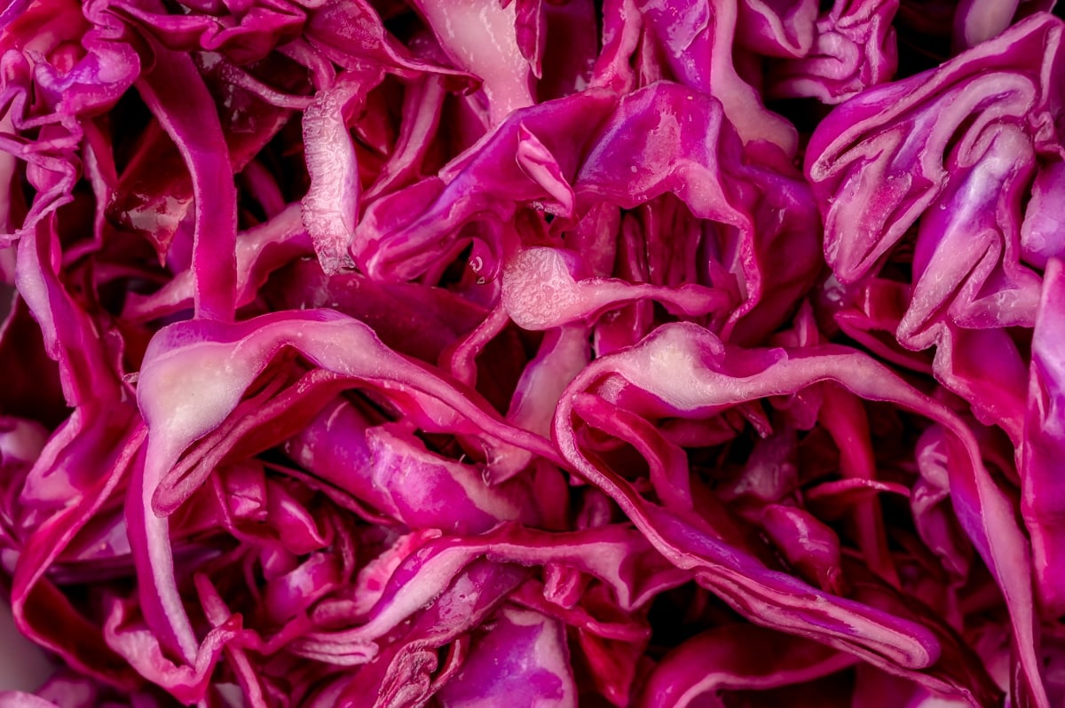 close up of red cabbage slaw
