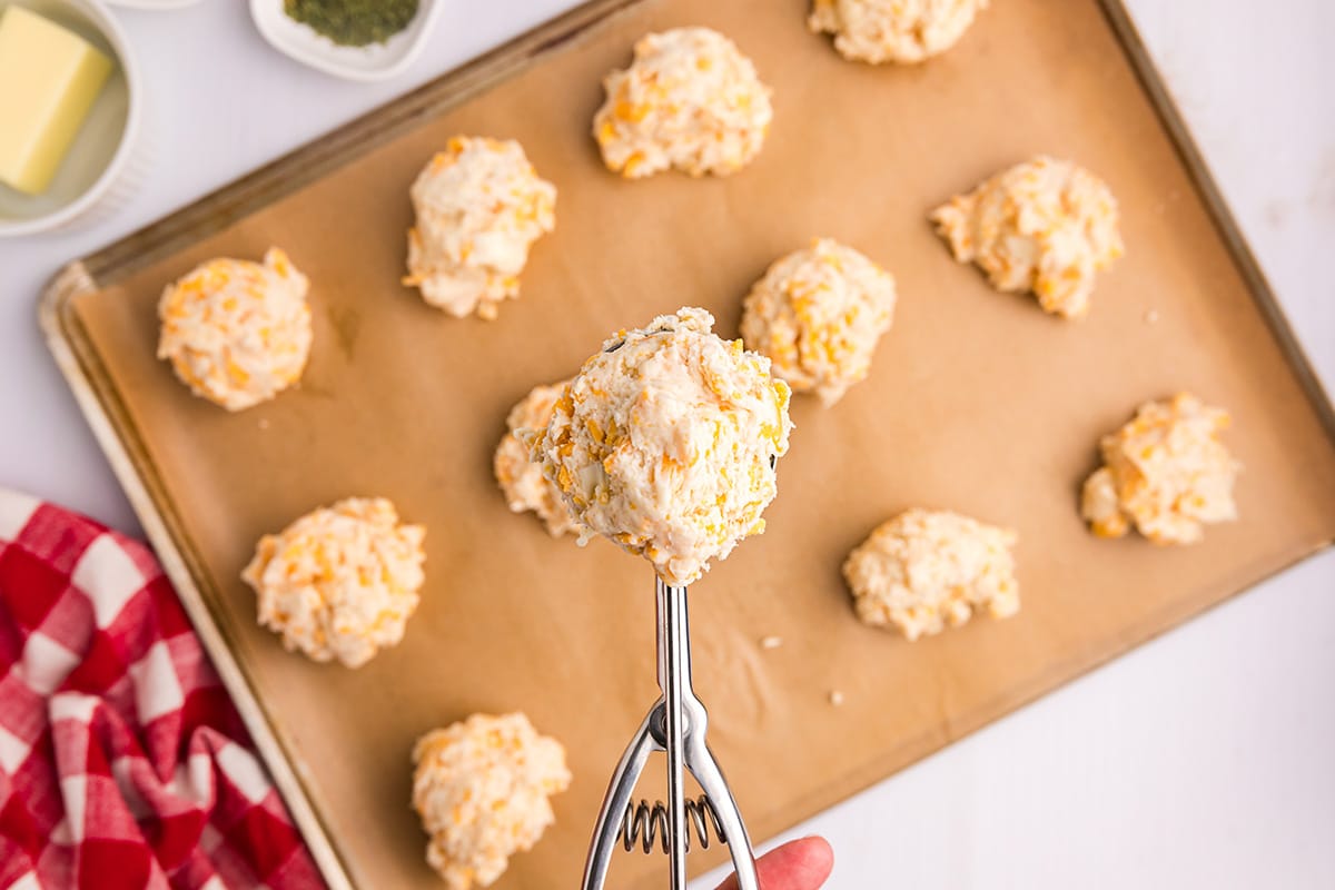 cookie scoop with biscuit dough