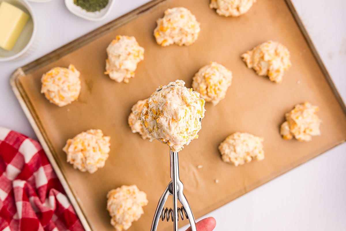 cookie scoop with biscuit dough