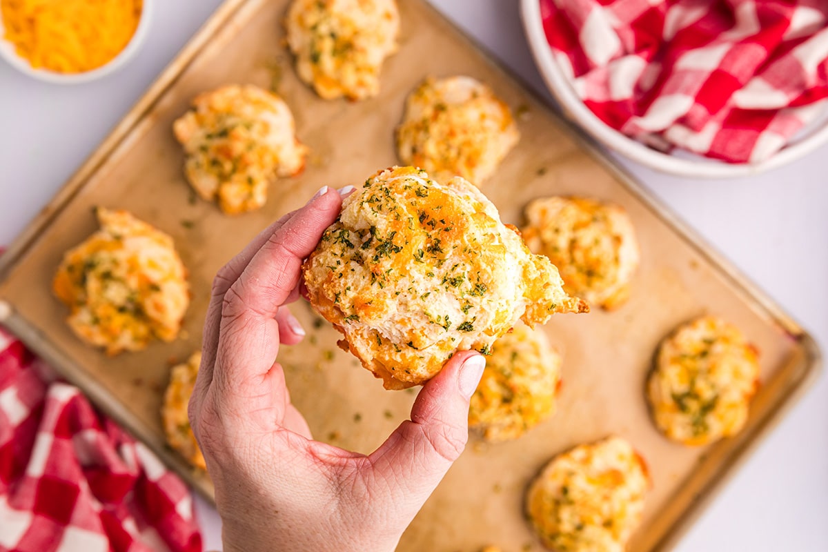 hand holding cheddar bay biscuits