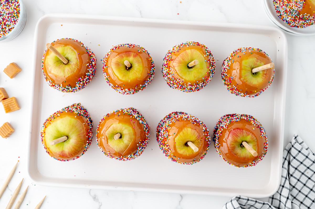 overhead shot of eight caramel apples on a tray