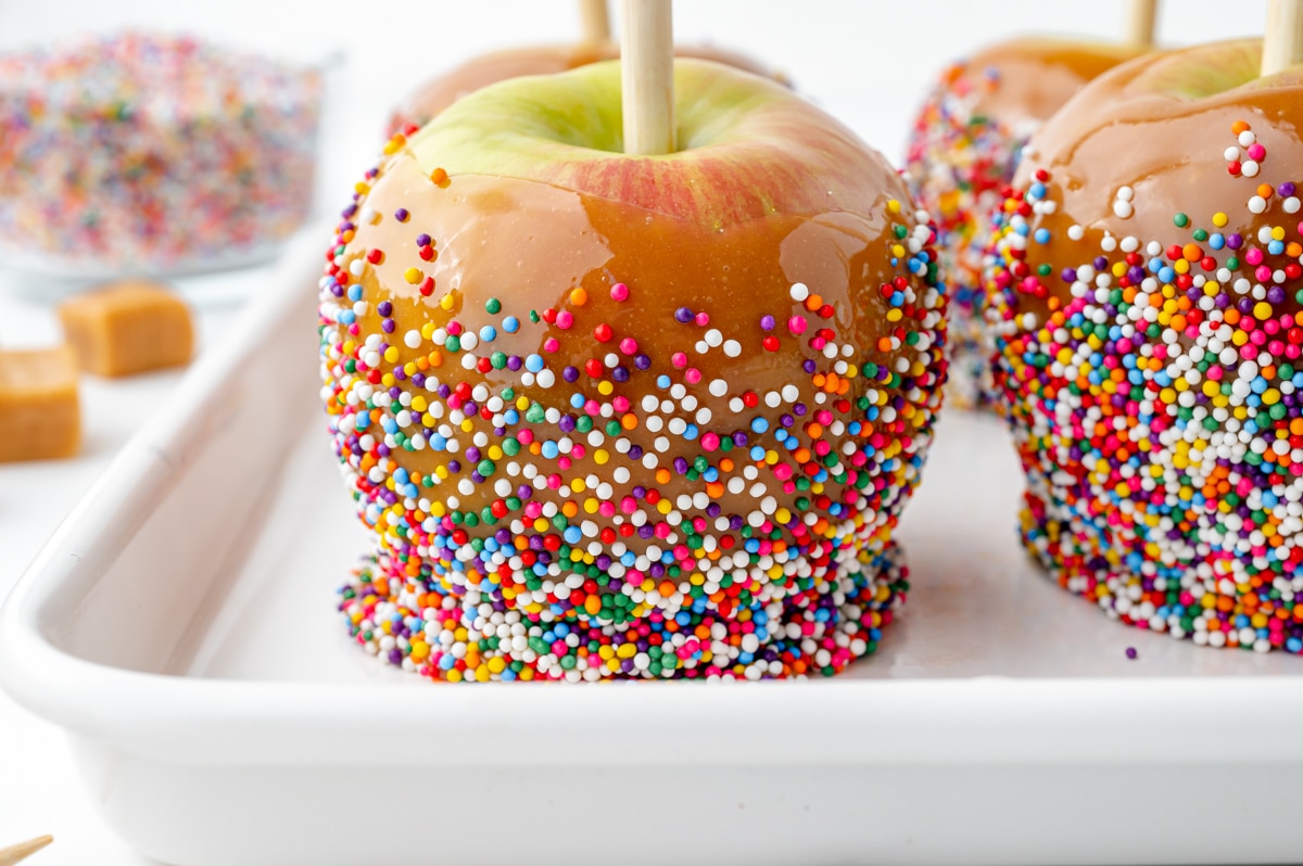 sprinkle coated caramel apples on a tray