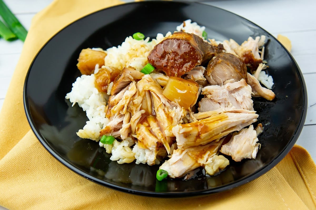 shredded pork roast over bed of rice