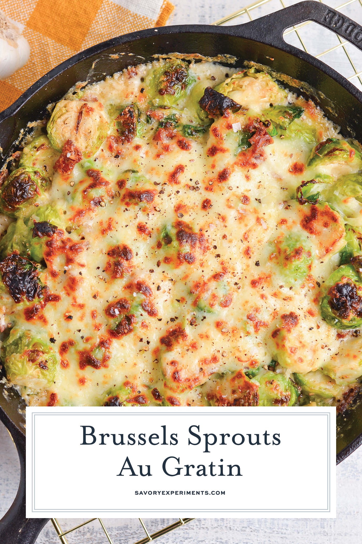 overhead shot of pan of brussels sprouts au gratin with text overlay for pinterest