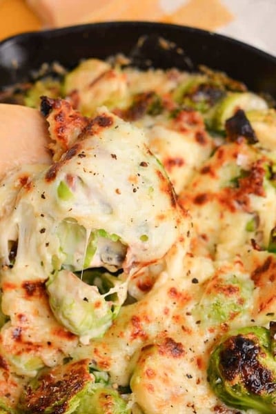 angled shot of spoon in pan of brussels sprouts au gratin