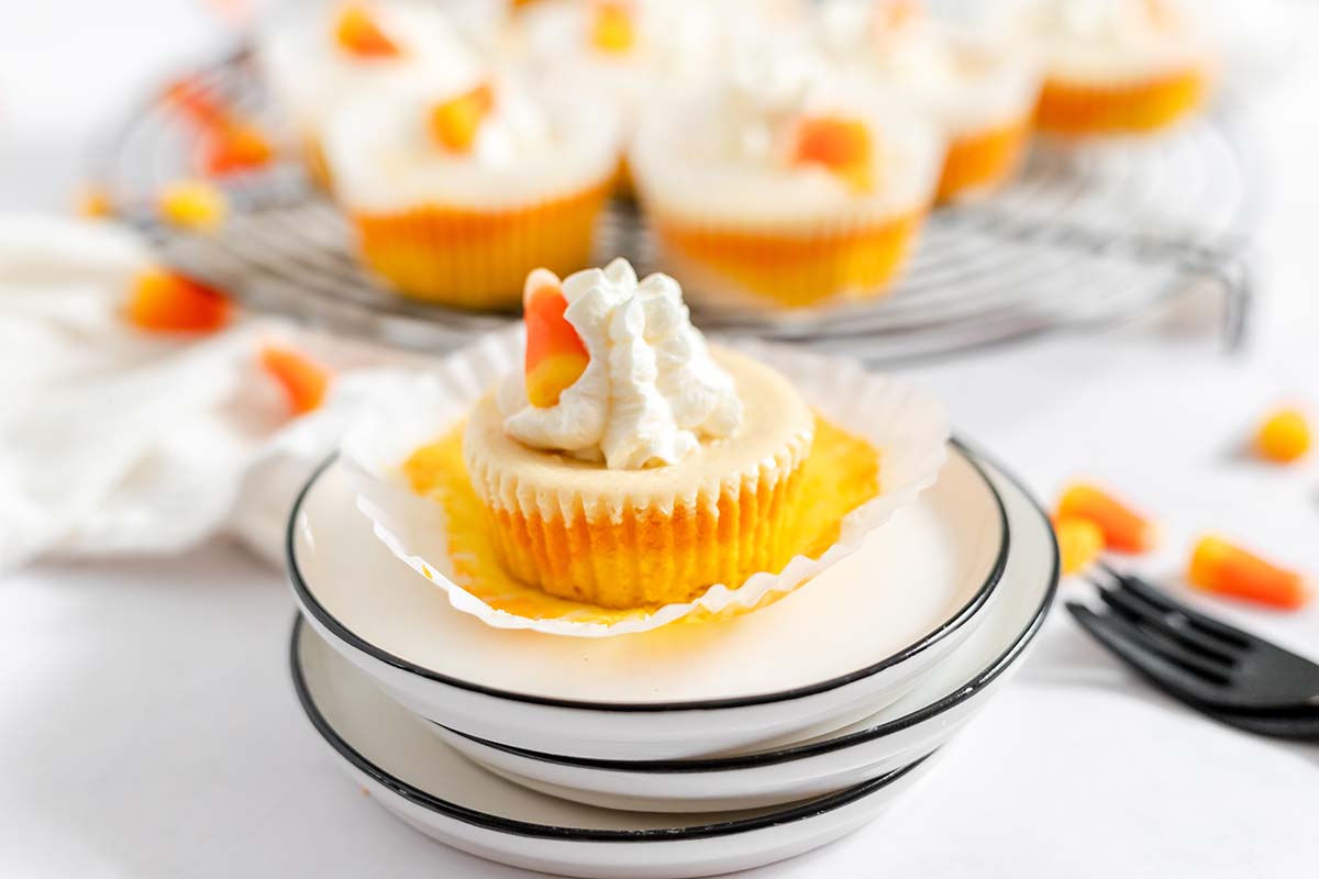 candy corn cheesecake with muffin wrapper removed