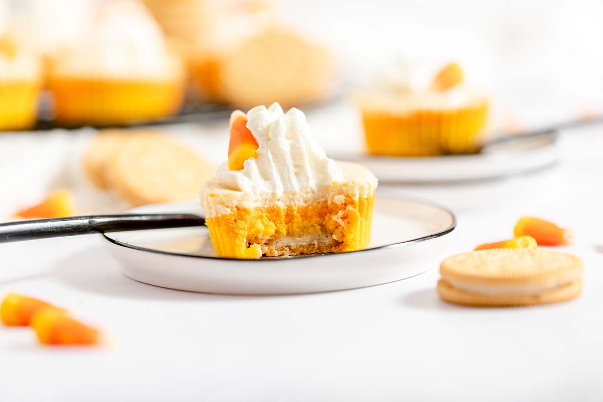 close up of cheesecakes that look like candy corn