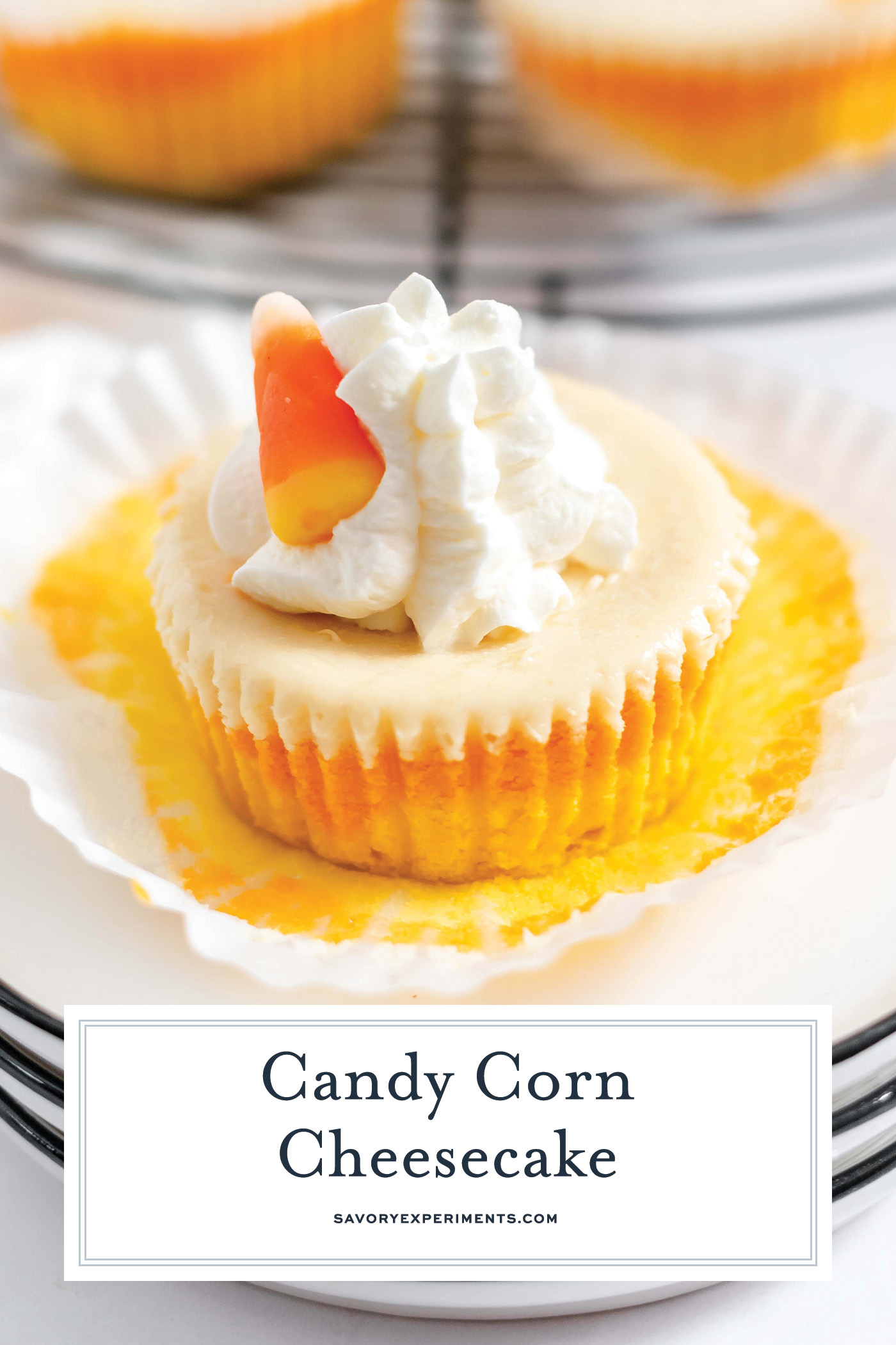 mini candy corn cheesecakes on a white plate