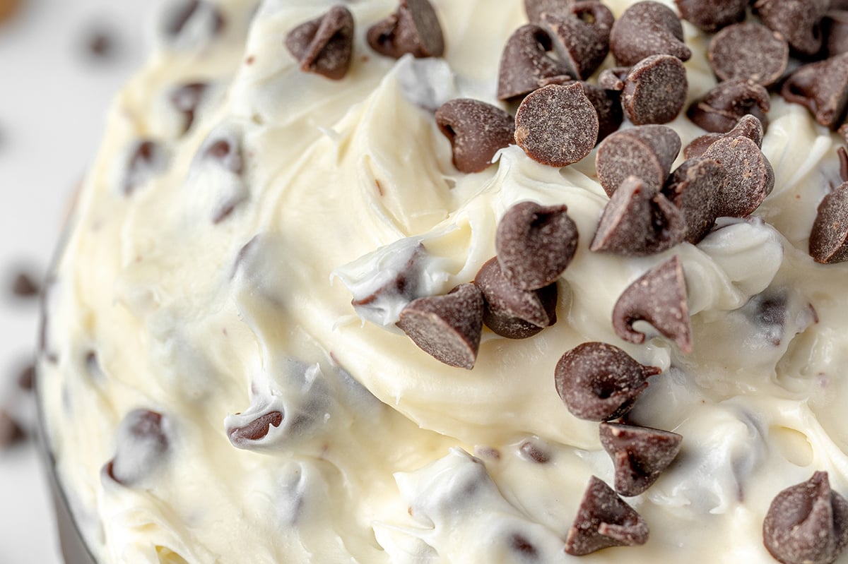 close up of creamy dessert dip with chocolate chips