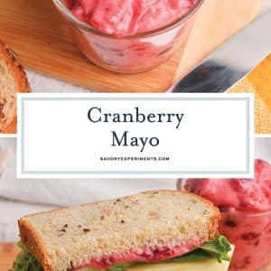 collage of cranberry mayo recipe images for pinterest