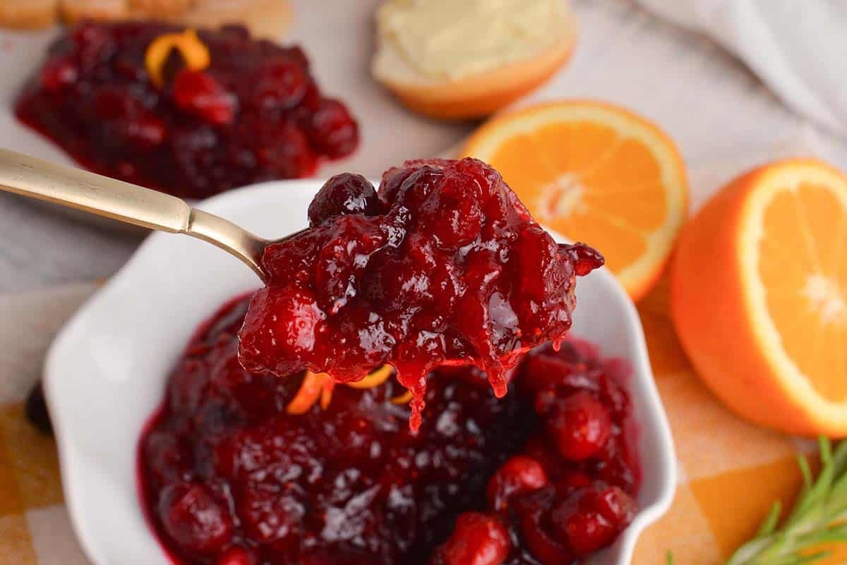 spoon holding up fresh cranberry relish