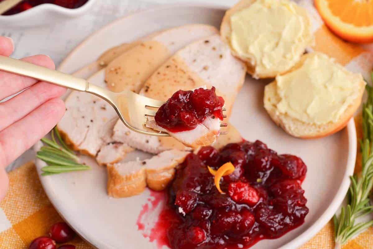 fork with cranberries and turkey