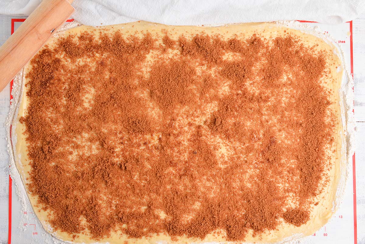 overhead shot of cinnamon sprinkled onto dough