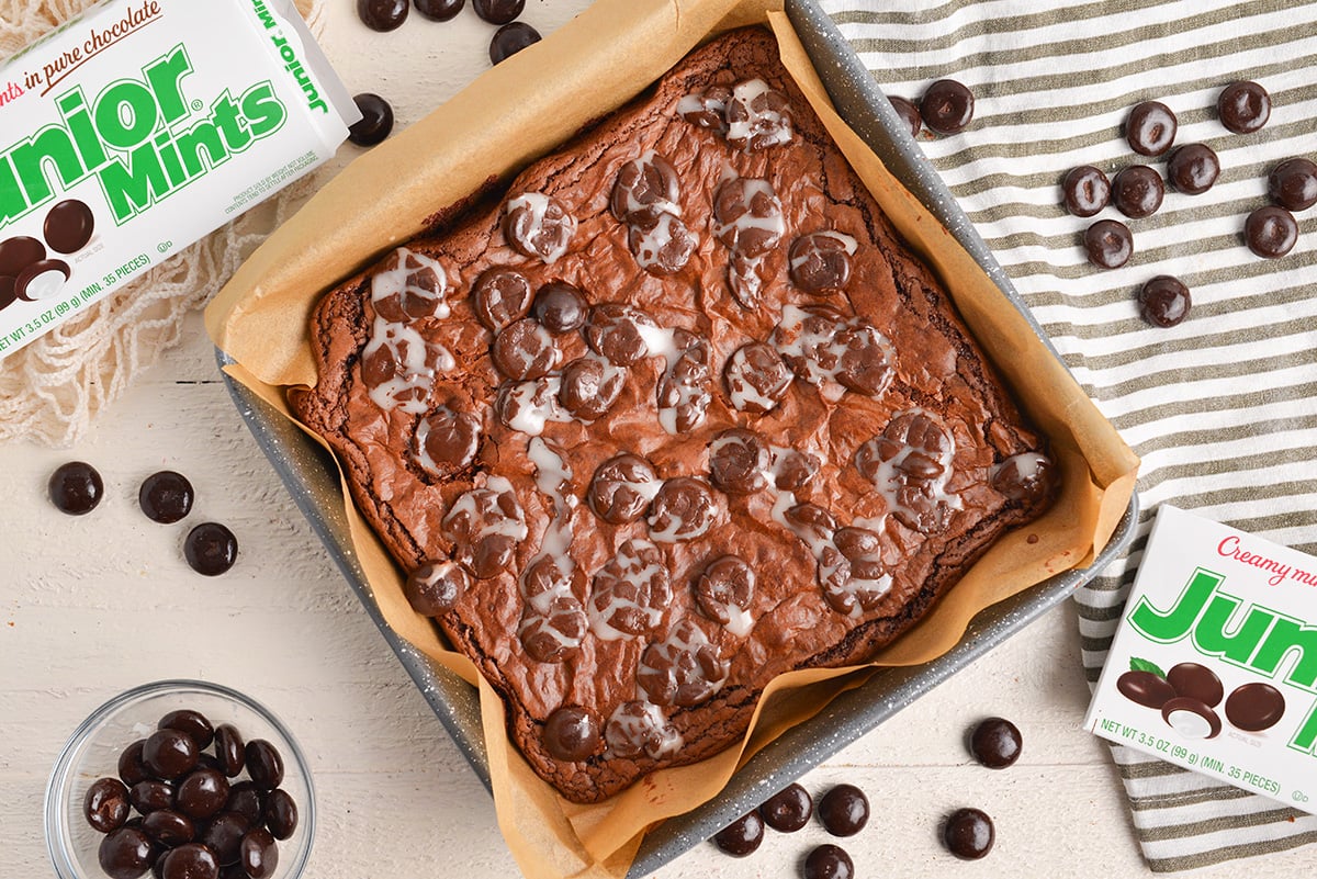 overhead shot of pan of baked junior mint brownies