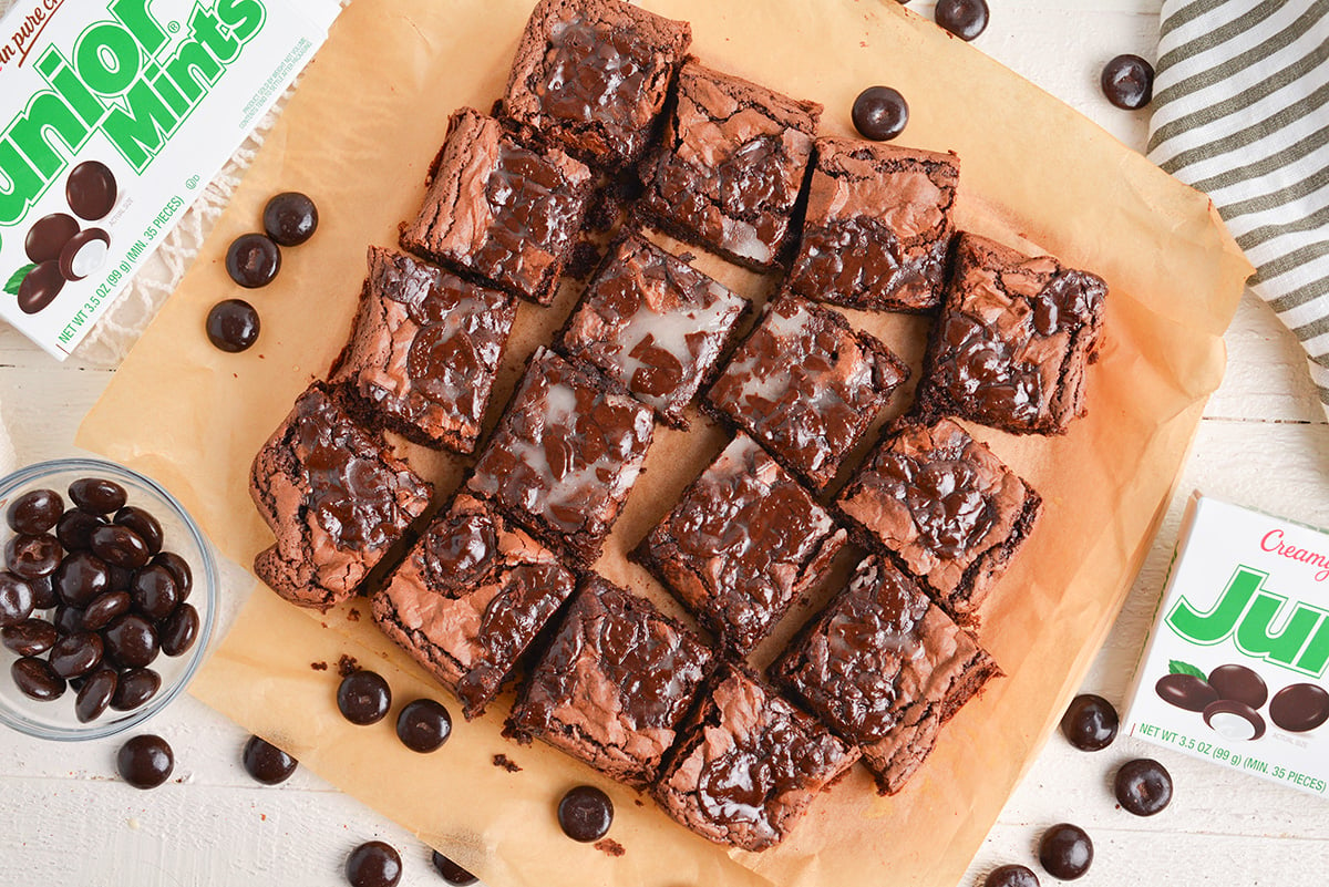 overhead shot of sliced junior mint brownies