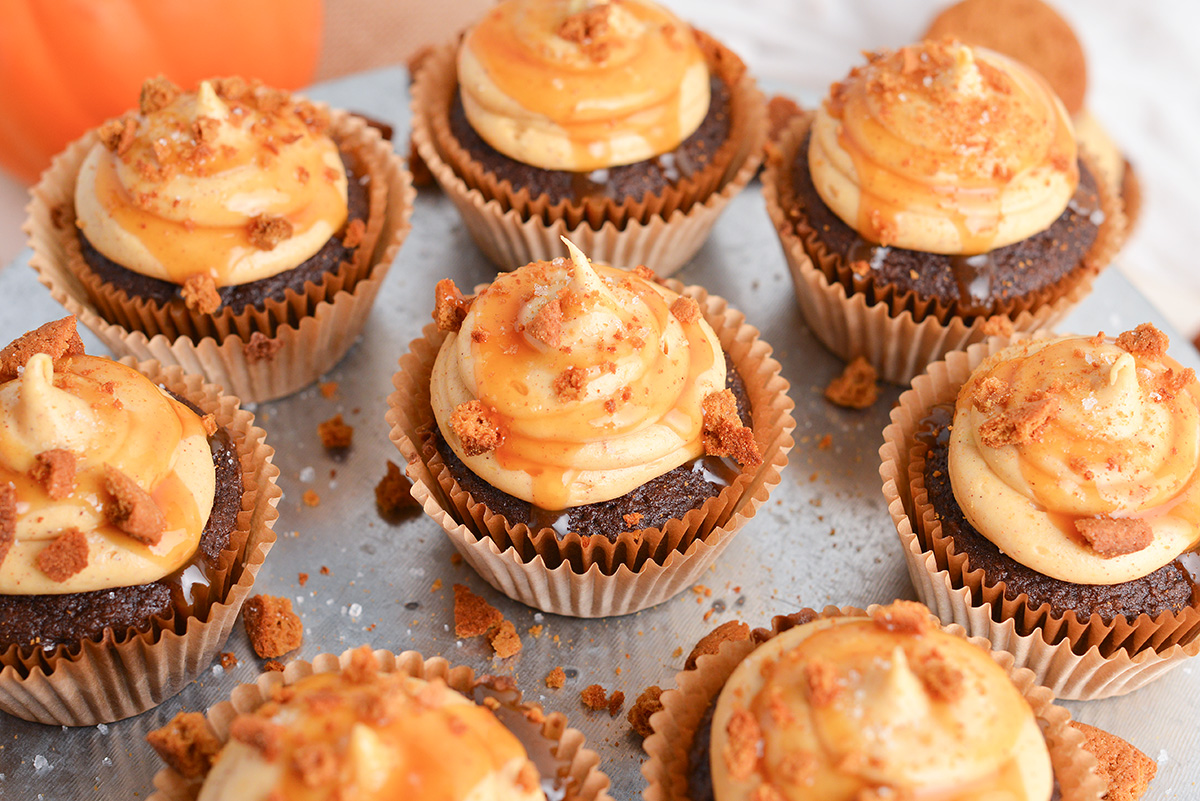 angled shot of chocolate pumpkin cupcakes