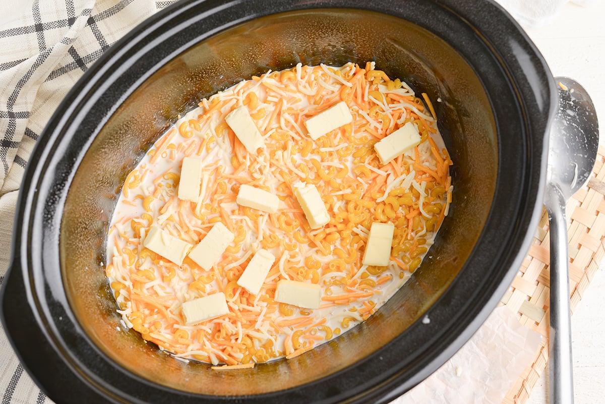 mac and cheese ingredients in slow cooker