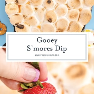 collage of smores dip images for pinterest