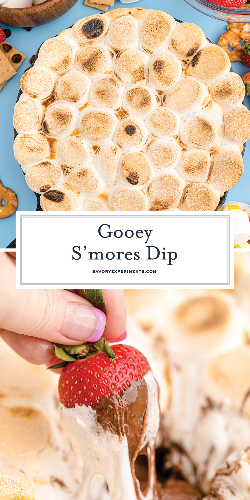 collage of smores dip images for pinterest