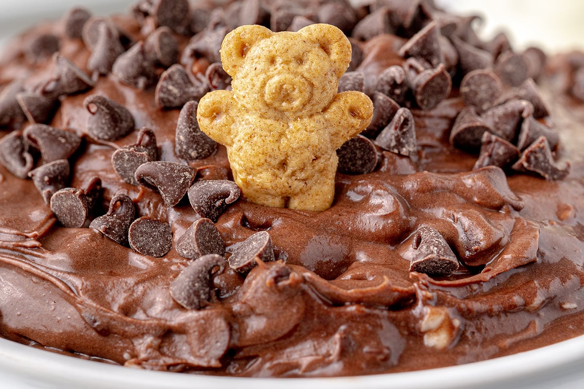 teddy graham taking a swim in brownie dip with chocolate chips
