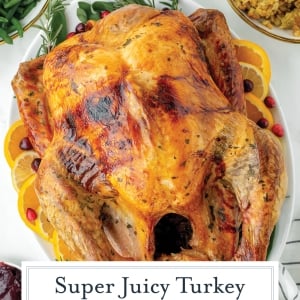 close up of whole dry brined turkey