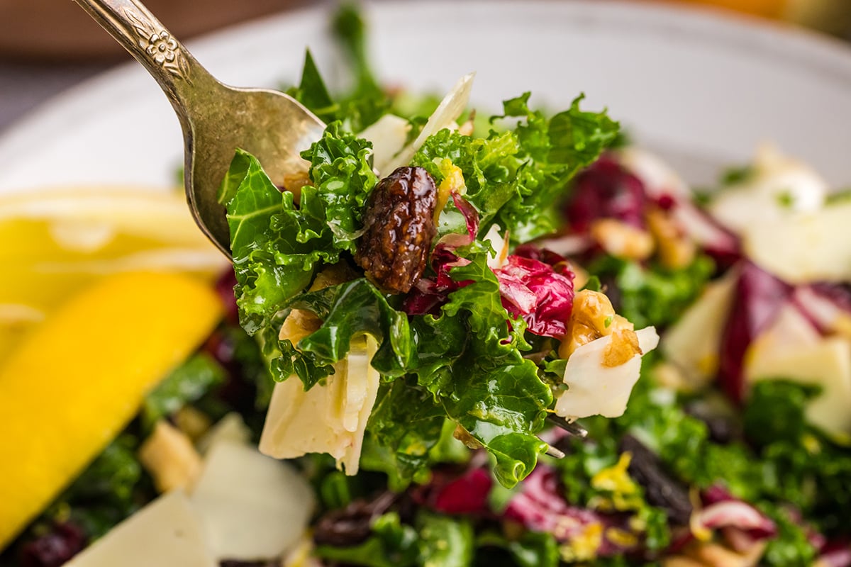 close up shot of bite of salad on fork