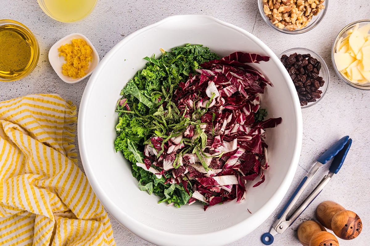 kale and radicchio in bowl