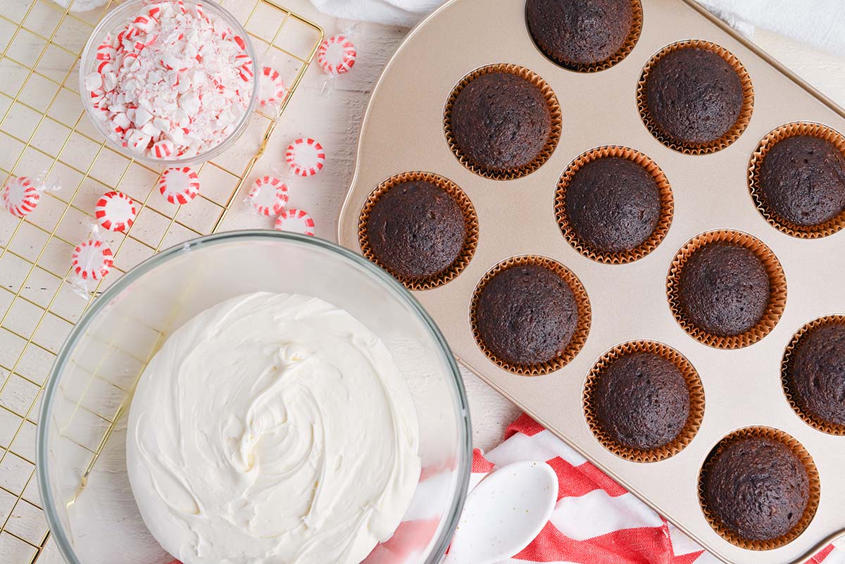 overhead shot of peppermint mocha cupcake ingredients