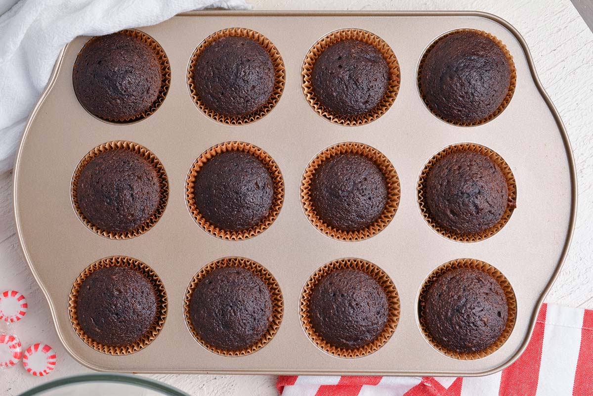 overhead shot of baked chocolate cupcakes in pan