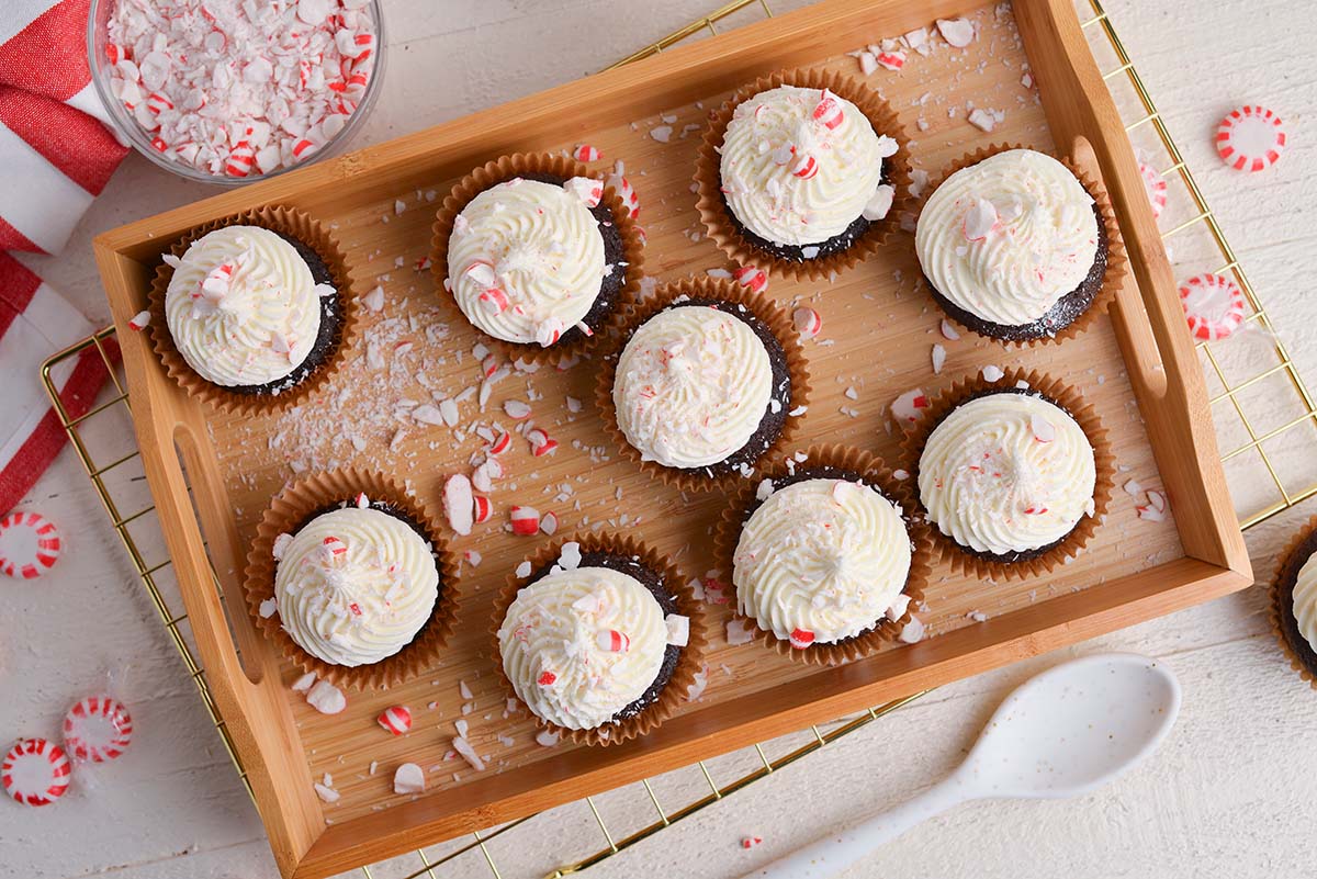 overhead shot of peppermint mocha cupcakes on tray