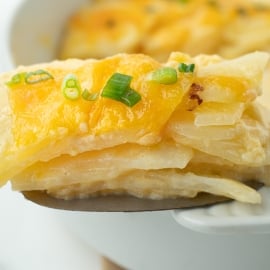 straight on close up shot of au gratin potatoes on serving spoon