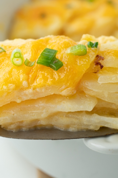 straight on close up shot of au gratin potatoes on serving spoon