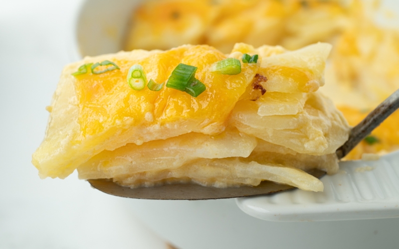 straight on close up shot of au gratin potatoes on serving spoon