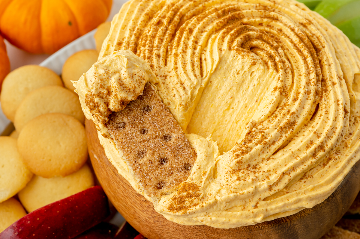 graham cracker in pumpkin dip