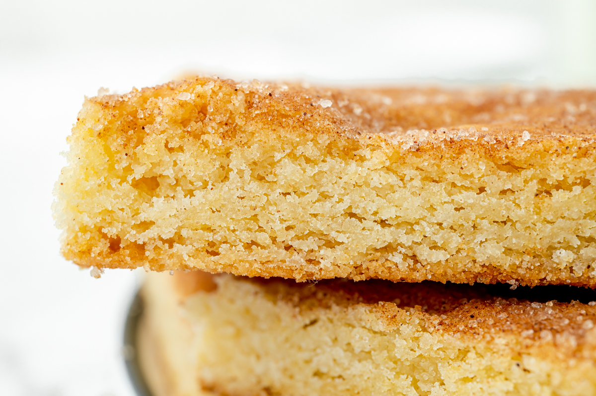 close up straight on shot of side of snickerdoodle bars