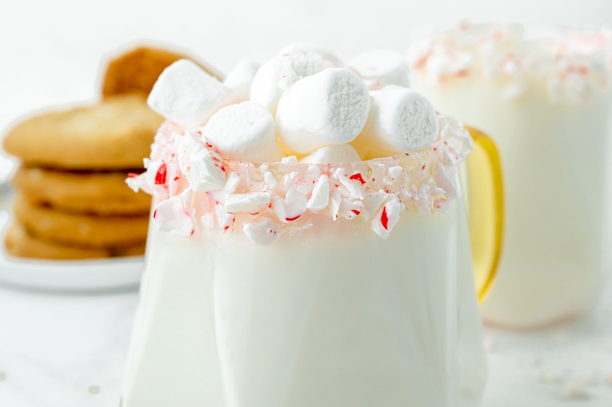 close up straight on shot of mug of white hot chocolate topped with marshmallows