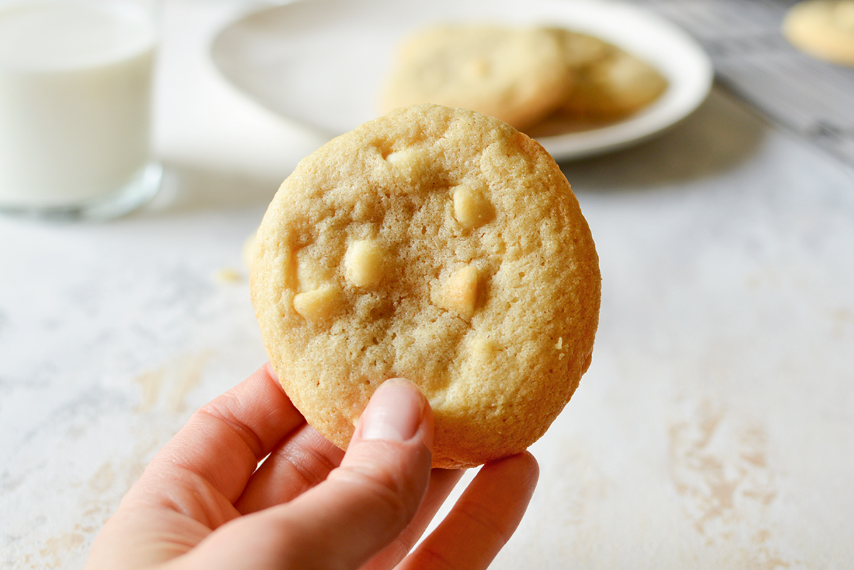 hand holding a white chocolate chip cookie