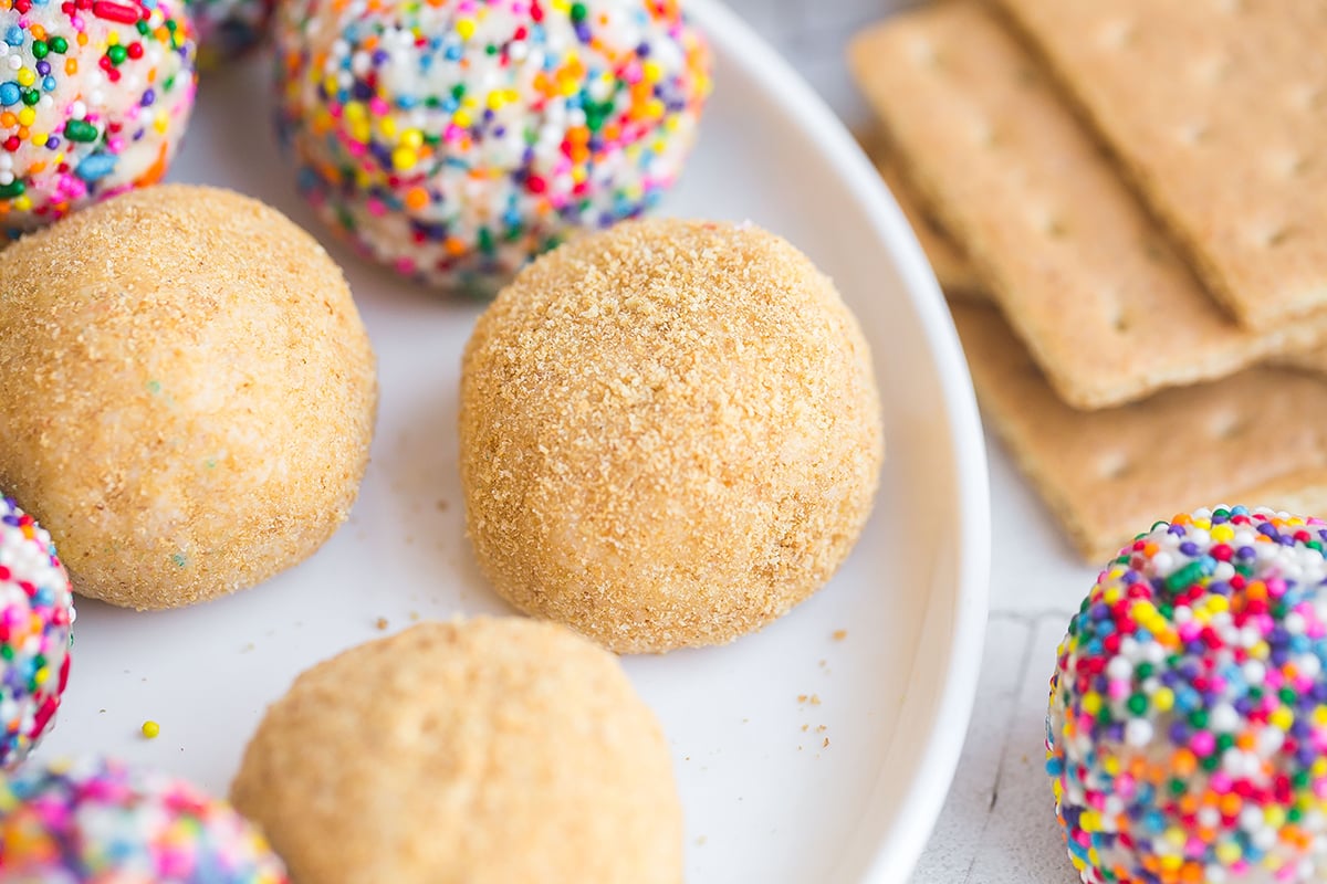 close up of cheesecake ball rolled in graham cracker crumbs