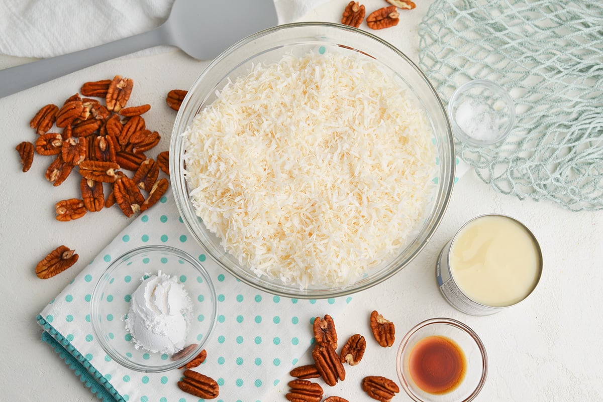 ingredients for coconut balls