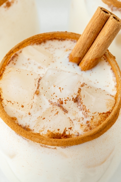 angled shot of cinnamon stick in glass of horchata