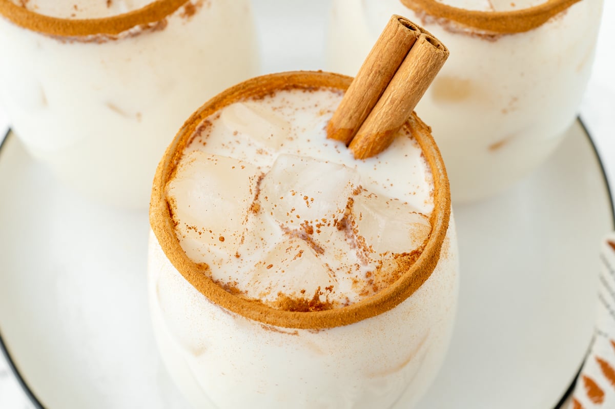 angled shot of cinnamon stick in glass of horchata