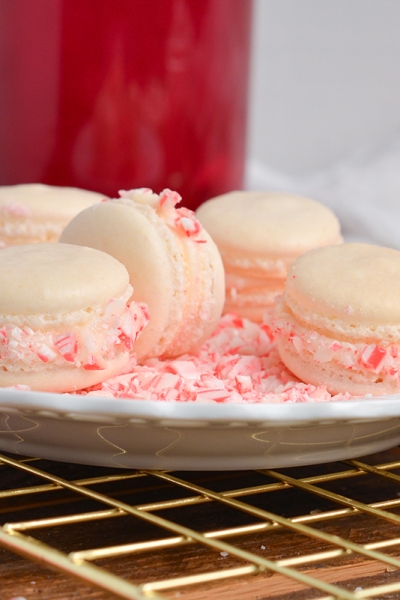 angle close up of french macaron sandwiches