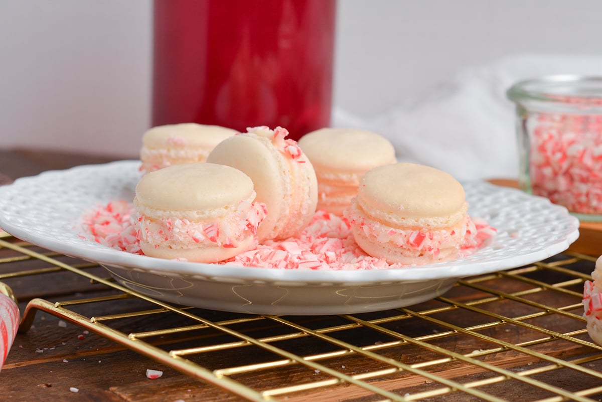 angle close up of french macaron sandwiches