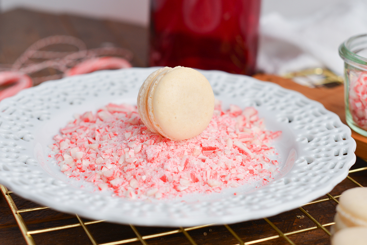 dipping cookie sandwich in crushed peppermint