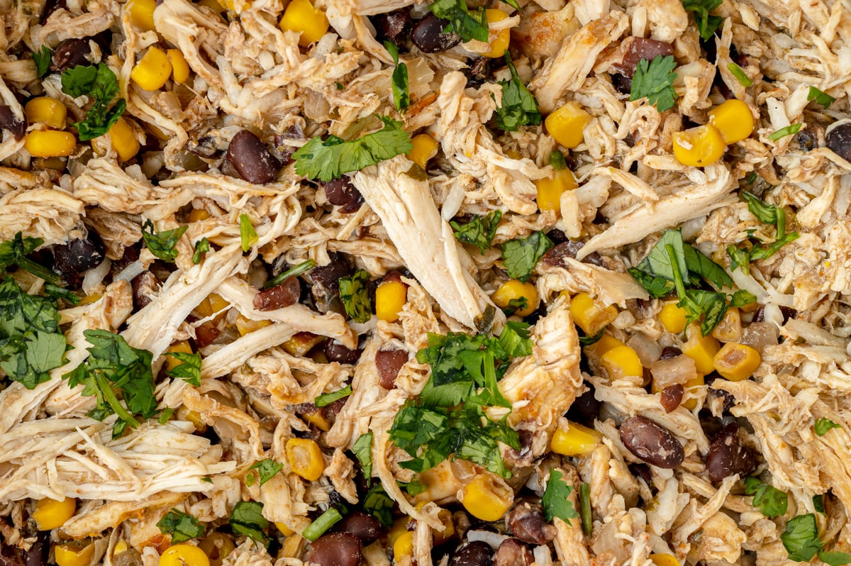 close up of shredded taco chicken