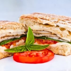 straight on shot of panini sandwich cut in half with tomatoes and basil